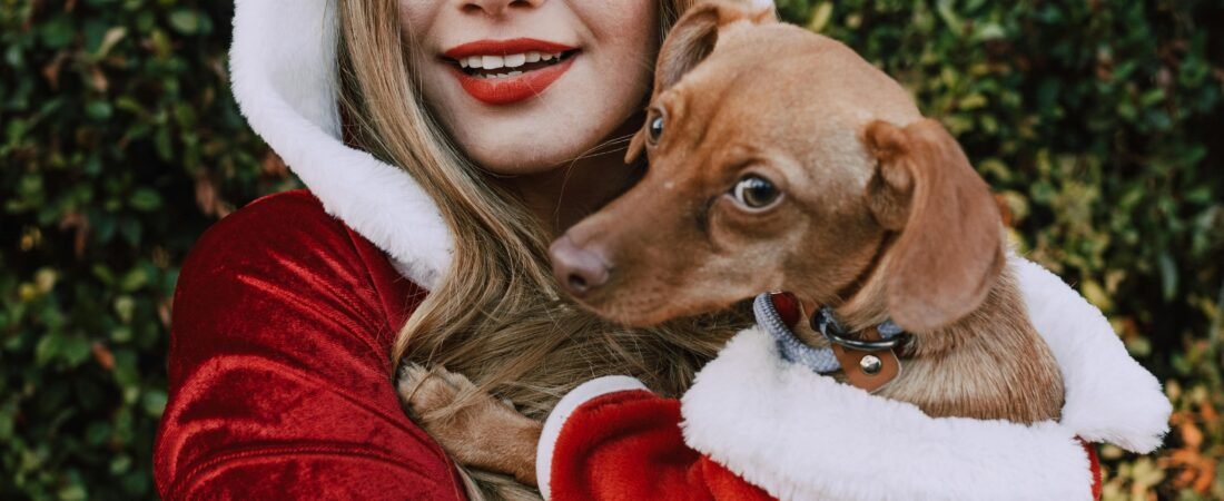 Los 6 mejores  disfraces navideños para tu perro (2025)