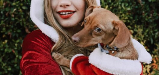 Los 6 mejores disfraces navideños para tu perro (2025)